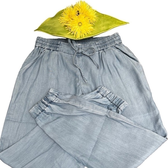 TALULA Aritzia Los Feliz Blue Chambray Joggers EUC - Picture 3 of 11